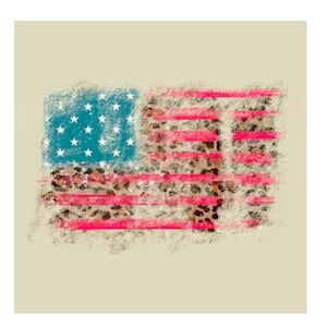 Patriotic spirit unisex American Flag T-shirt